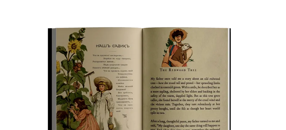 Spines Book Publisher